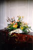 pic24a