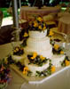 pic2a