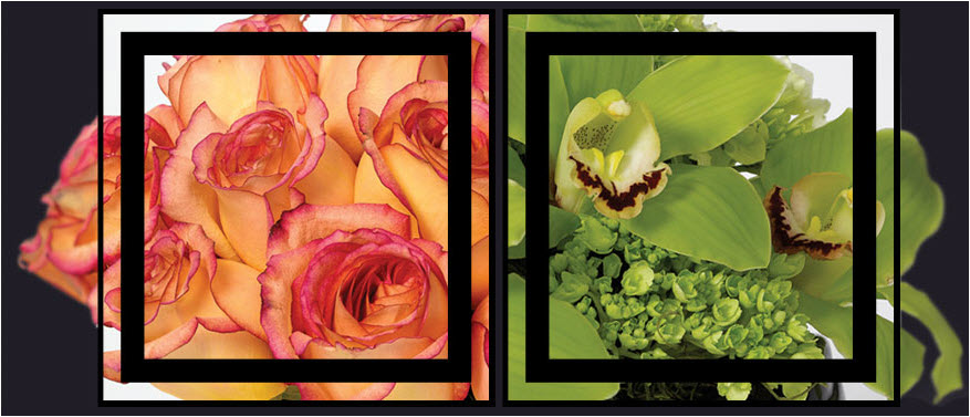 Wessel's Florist in Baltimore, MD