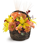 Sensational Splendor Basket from Wessel's Florist in Ellicott City, MD