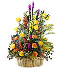 Field of Dreams Arrangement from Wessel's Florist in Ellicott City, MD