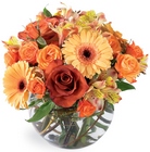 Natural Elegance Bouquet from Wessel's Florist in Ellicott City, MD