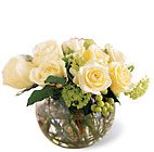 Thoughtful Expressions Arrangement from Wessel's Florist in Ellicott City, MD