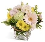 Floral Festival Bouquet from Wessel's Florist in Ellicott City, MD