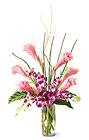 Tropicala Arrangement from Wessel's Florist in Ellicott City, MD