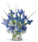 Bountiful Beauty Bouquet from Wessel's Florist in Ellicott City, MD