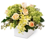 Classic Beauty Bouquet from Wessel's Florist in Ellicott City, MD