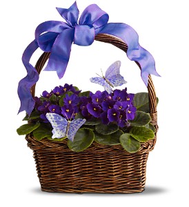 Violets and Butterflies in Ellicott City�MD, Wessel's Florist & Weddings