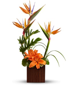 Teleflora's Bamboo Paradise in Ellicott City MD, Wessel's Florist & Weddings