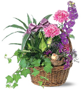 Garden Comforts in Ellicott City MD, Wessel's Florist & Weddings