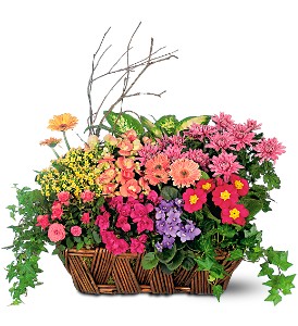 Deluxe European Garden Basket in Ellicott City MD, Wessel's Florist & Weddings