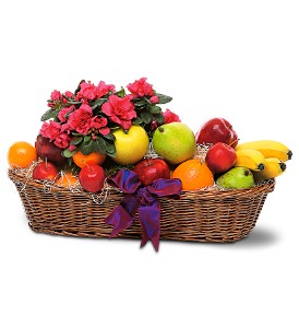 Plant and Fruit Basket in Ellicott City MD, Wessel's Florist & Weddings