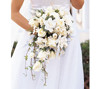 White Cascade Bridal Bouquet in Ellicott City MD, Wessel's Florist & Weddings