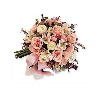 Blushing Blossoms Nosegay in Ellicott City MD, Wessel's Florist & Weddings