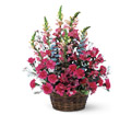 Pink Power in Ellicott City MD Wessel's Florist & Weddings