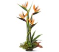 Memories of Paradise in Ellicott City MD Wessel's Florist & Weddings