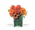 Bronze Callas in Ellicott City MD Wessel's Florist & Weddings