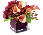 Teleflora's Calla Classique in Ellicott City�MD, Wessel's Florist & Weddings
