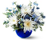 Winter's Sky in Ellicott City MD, Wessel's Florist & Weddings