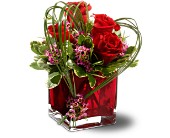 Teleflora's Sweet Thoughts in Ellicott City MD, Wessel's Florist & Weddings