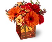 Teleflora's Sunrise Sunset in Ellicott City MD, Wessel's Florist & Weddings