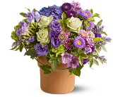 Sweet Wishes in Ellicott City�MD, Wessel's Florist & Weddings