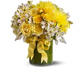 Lemon Aid in Ellicott City�MD, Wessel's Florist & Weddings