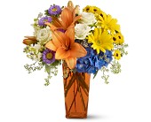 Bright Wishes in Ellicott City�MD, Wessel's Florist & Weddings
