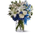 Winter Oasis in Ellicott City MD, Wessel's Florist & Weddings