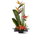 Paradise Found in Ellicott City MD, Wessel's Florist & Weddings