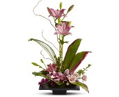 Imagination Blooms in Ellicott City MD, Wessel's Florist & Weddings