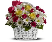 Daisy Dreams Basket in Ellicott City MD, Wessel's Florist & Weddings
