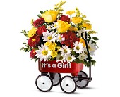 Teleflora's Baby's First Wagon - Girl in Ellicott City MD, Wessel's Florist & Weddings