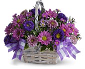 Daisy Day Dreams in Ellicott City MD, Wessel's Florist & Weddings
