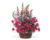 Pink Power in Ellicott City�MD, Wessel's Florist & Weddings