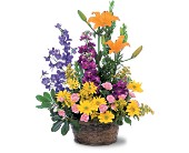 Stylish Thoughts in Ellicott City�MD, Wessel's Florist & Weddings