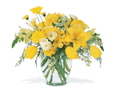 Sunshine Express in Ellicott City MD, Wessel's Florist & Weddings