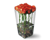 Orange Roses with River Rocks in Ellicott City MD, Wessel's Florist & Weddings