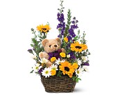 Basket & Bear Arrangement in Ellicott City MD, Wessel's Florist & Weddings