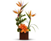 Teleflora's Bamboo Paradise in Ellicott City�MD, Wessel's Florist & Weddings
