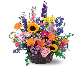 Summertime Sensation Basket in Ellicott City MD, Wessel's Florist & Weddings