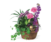 Garden Comforts in Ellicott City�MD, Wessel's Florist & Weddings