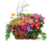 Deluxe European Garden Basket in Ellicott City MD, Wessel's Florist & Weddings