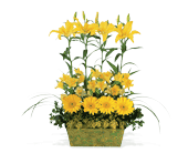 Yellow Garden Rows in Ellicott City�MD, Wessel's Florist & Weddings