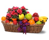 Plant and Fruit Basket in Ellicott City�MD, Wessel's Florist & Weddings