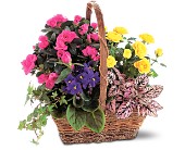 Blooming Garden Basket in Ellicott City MD, Wessel's Florist & Weddings