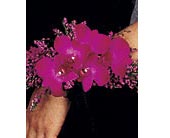 Purple Paradise Wristlet in Ellicott City MD, Wessel's Florist & Weddings