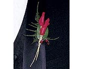 Red Rose Petals Boutonniere in Ellicott City MD, Wessel's Florist & Weddings