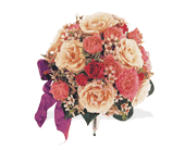 Daydream Believer's Nosegay in Ellicott City MD, Wessel's Florist & Weddings