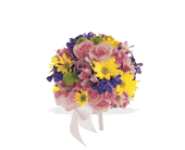 Eye Candy Nosegay in Ellicott City MD, Wessel's Florist & Weddings